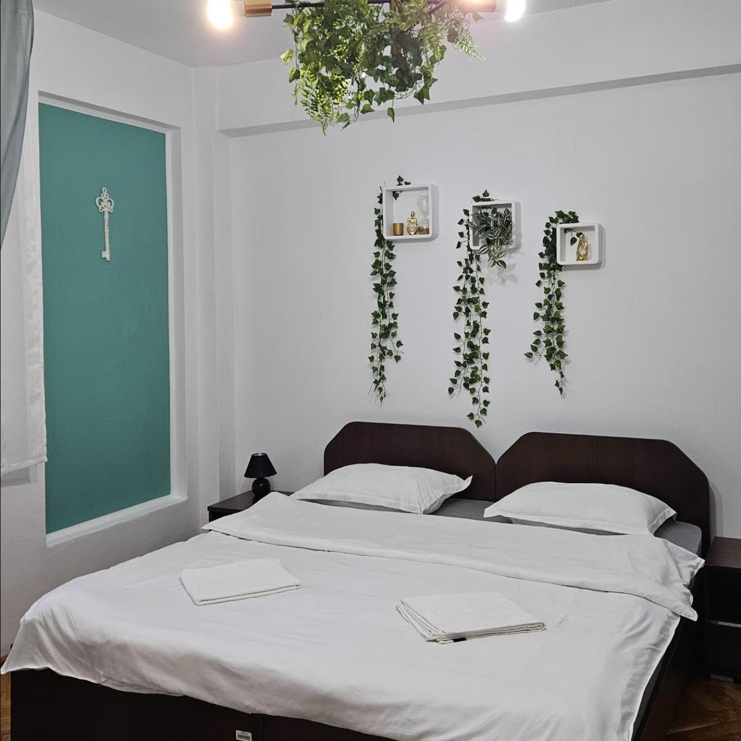Apartment Zarnesti City Centre Vmp Free Parking Exterior foto